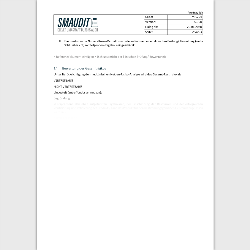 MP.704 - F&T Risikomanagementbericht - SMAUDIT - DIN EN ISO 13485