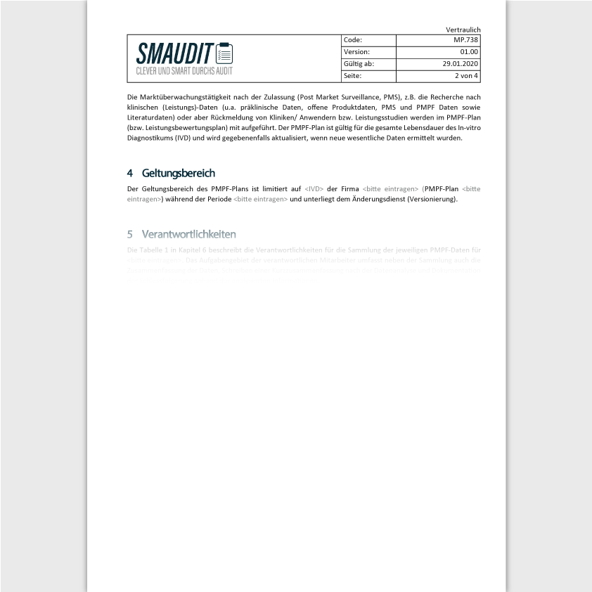 MP.738 - F&T PMPF-Plan - SMAUDIT - DIN EN ISO 13485