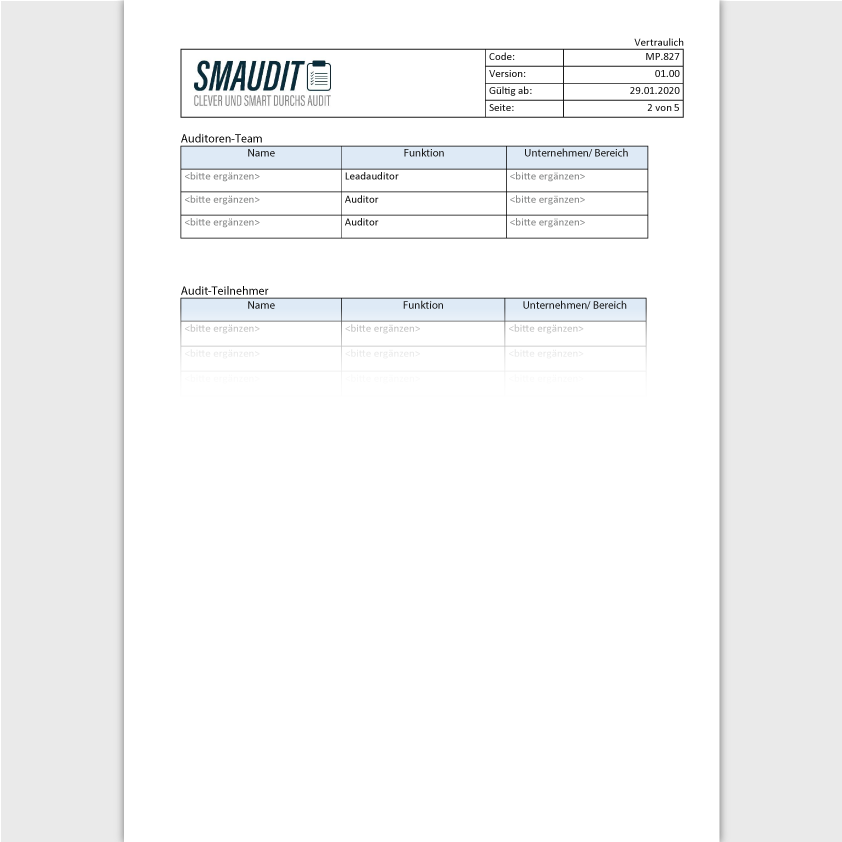 MP.827 - F&T Auditbericht - SMAUDIT - DIN EN ISO 13485
